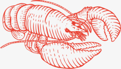 红色手绘线条龙虾素材