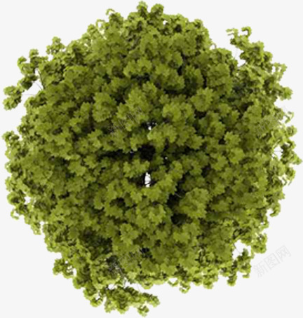 绿色圆形树枝造型植物png免抠素材_新图网 https://ixintu.com 圆形 树枝 植物 绿色 造型