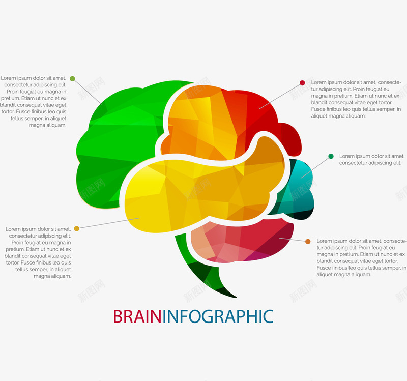 低多边形大脑图表png免抠素材_新图网 https://ixintu.com 低多边形 信息图表 分类 彩色 矢量素材