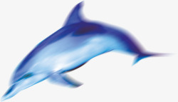 卡通游动的蓝色海豚素材