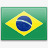 巴西巴西标签旗帜素材