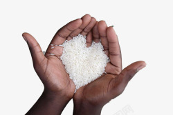 一捧米捧在手心的米高清图片