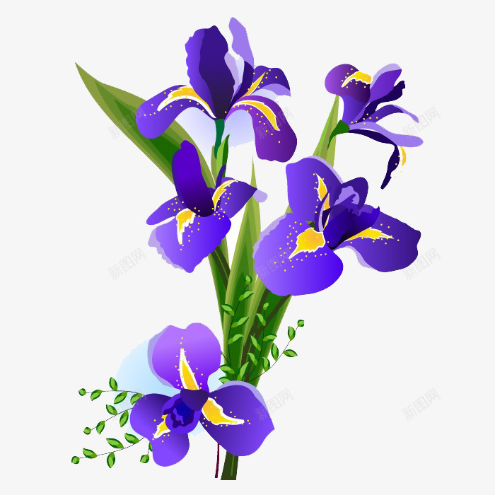花束png免抠素材_新图网 https://ixintu.com 紫色 花束 装饰 造型