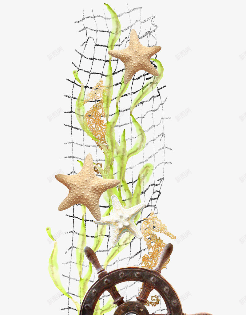 海星海藻装饰png免抠素材_新图网 https://ixintu.com 海星 海藻 装饰