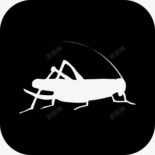 板球或龙虾剪影在圆形广场图标png_新图网 https://ixintu.com 人道主义 剪影 动物 圆角方形 昆虫 蟋蟀 龙虾
