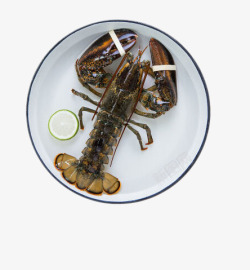 浜插瓙绱犳潗盘子中的大活龙虾高清图片