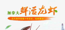 龙虾淘宝广告鲜活龙虾广告文案高清图片