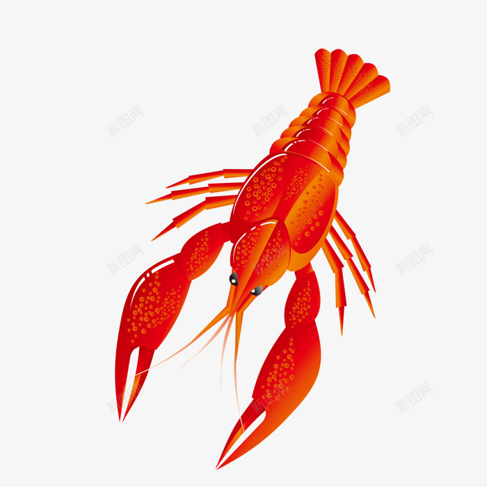 一只大龙虾png免抠素材_新图网 https://ixintu.com png图形 png装饰 动物 大龙虾 海产品 装饰