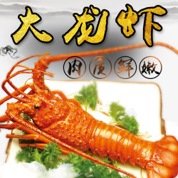 食物龙虾素材