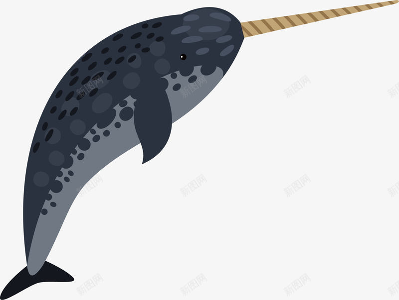 可爱小海豚png免抠素材_新图网 https://ixintu.com 创意 卡通 可爱 彩色 手绘的 海豚 矢量的 黑色