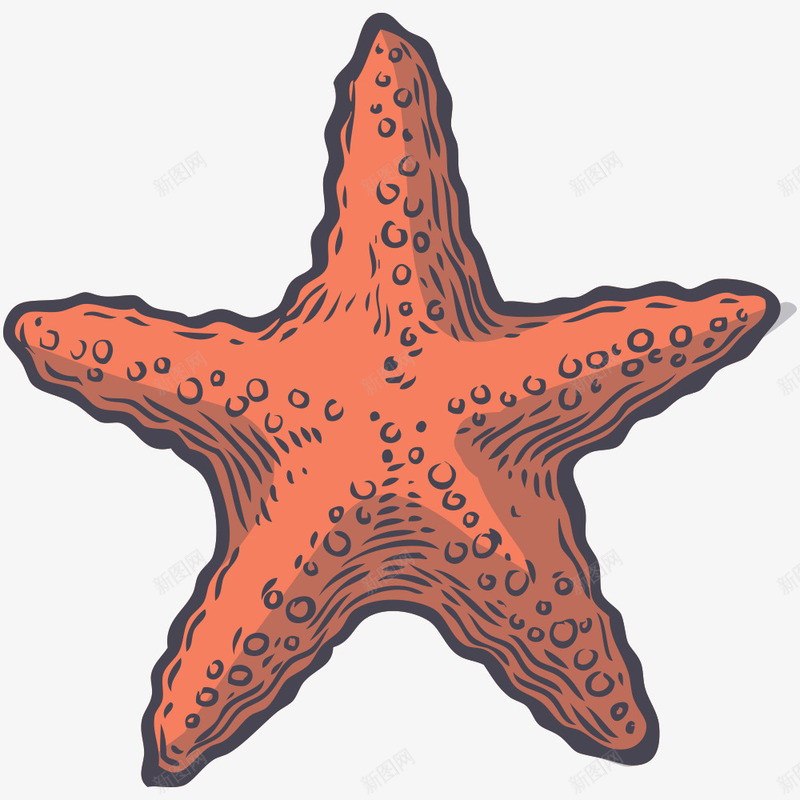 手绘海星png免抠素材_新图网 https://ixintu.com 一颗 卡通 手绘 橘色的 海星 海生动物 简图
