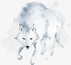 卡通白狼卡通手绘水彩动物高清图片