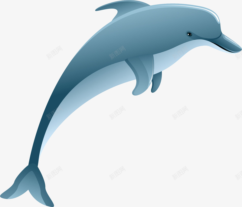 卡通蓝色海豚png免抠素材_新图网 https://ixintu.com 免抠PNG 卡通 海豚 简约 蓝色 跳跃 鱼鳍
