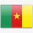 喀麦隆国旗国旗帜图标图标