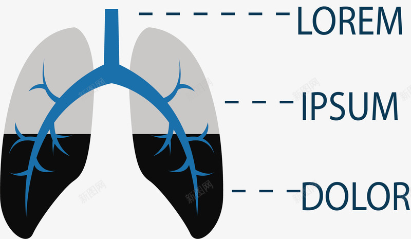 肺部污染分类图png免抠素材_新图网 https://ixintu.com 健康 分类 吸烟有害 器官 矢量素材 肺部