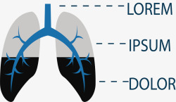 肺部污染分类图素材