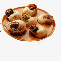 食物房子蜗牛法国菜高清图片
