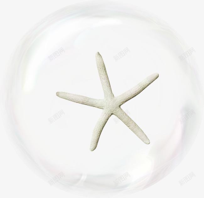 气泡png免抠素材_新图网 https://ixintu.com PNG 梦境 气泡 水泡 海星 素材 装饰 透明