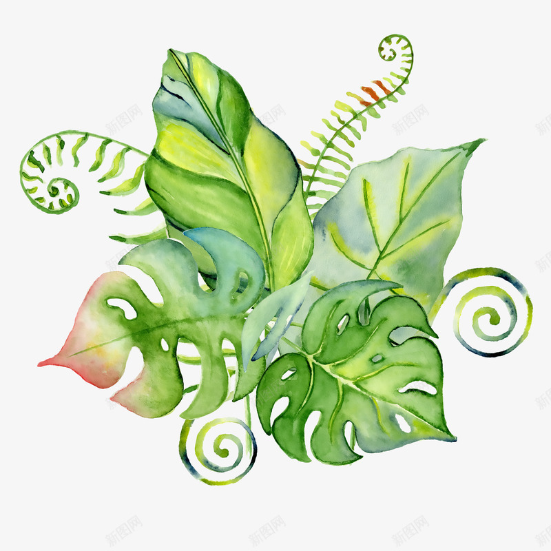 卡通手绘绿色的叶子png免抠素材_新图网 https://ixintu.com 创意 动漫动画 卡通手绘 植物 简约 绿色的叶子