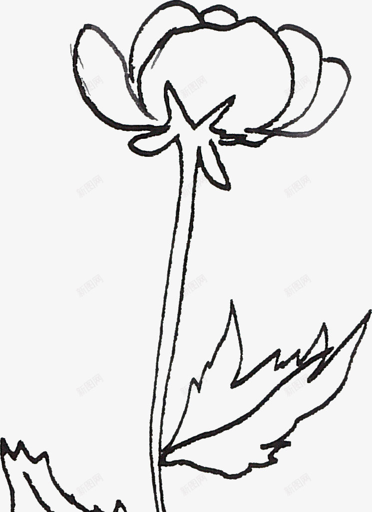 线描花朵png免抠素材_新图网 https://ixintu.com 线描植物 线条 花卉 黑色