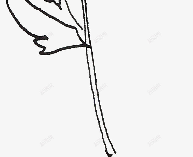 线描花朵png免抠素材_新图网 https://ixintu.com 线描植物 线条 花卉 黑色