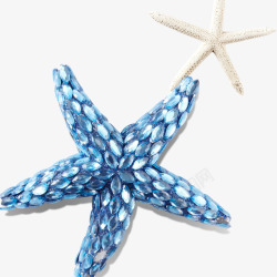 蓝色白色海星装饰图案素材