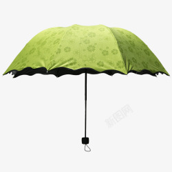 洋伞绿色花伞洋伞遮阳伞高清图片