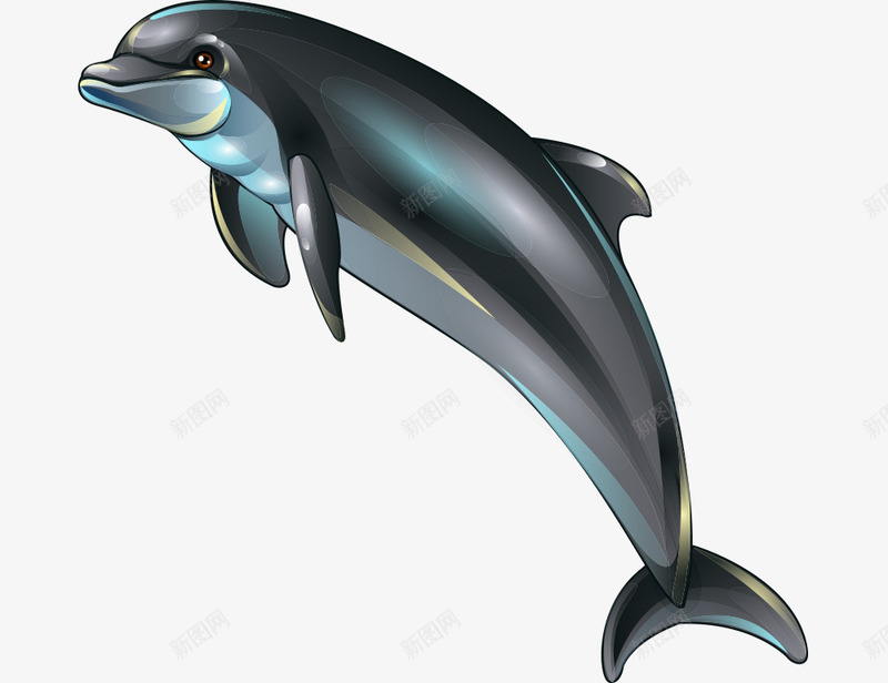 卡通海洋元素1png免抠素材_新图网 https://ixintu.com 卡通海洋元素 海洋生物 海豚
