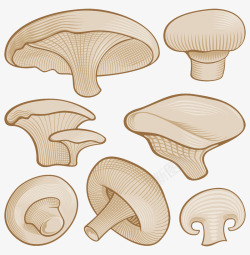 简约手绘蘑菇合集素材