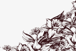 手绘线描花卉装饰矢量图素材