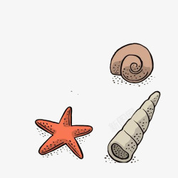 卡通手绘海星海螺素材