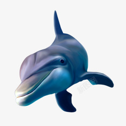 童话海豚素材