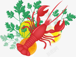 龙虾美食素材