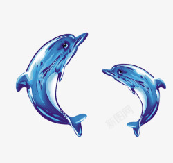 两条海豚素材
