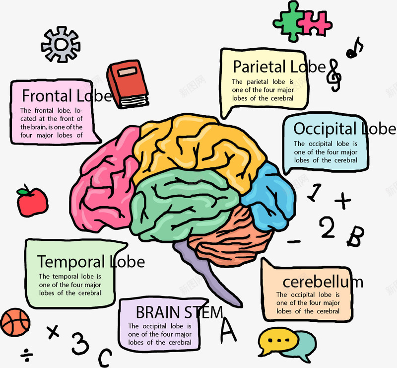 手绘彩色大脑分类标签矢量图eps免抠素材_新图网 https://ixintu.com 分类标签 大脑 彩色 手绘 矢量素材 矢量图