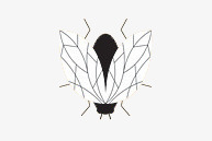 简笔画苍蝇昆虫造型png免抠素材_新图网 https://ixintu.com 昆虫 简笔 苍蝇 造型