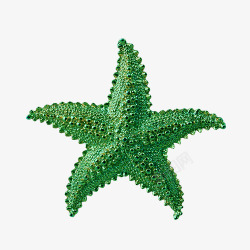 绿色海星素材
