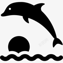 水生哺乳动物日落和海豚图标高清图片