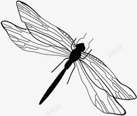 扁平手绘造型合成黑色的蜻蜓png免抠素材_新图网 https://ixintu.com 合成 扁平 蜻蜓 造型 黑色