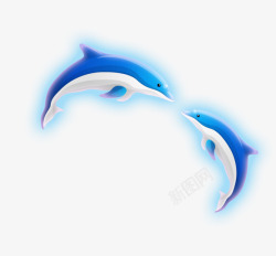 蓝光海豚蓝光海豚高清图片