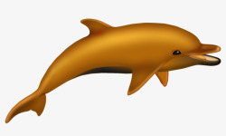 一只海豚素材