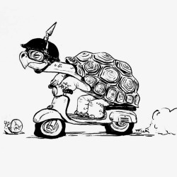 黑色乌龟乌龟和蜗牛赛跑高清图片