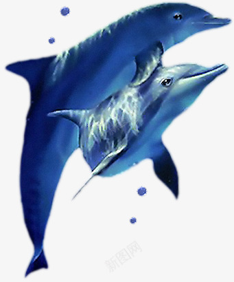 蓝色卡通造型海豚效果png免抠素材_新图网 https://ixintu.com 卡通 效果 海豚 蓝色 设计 造型
