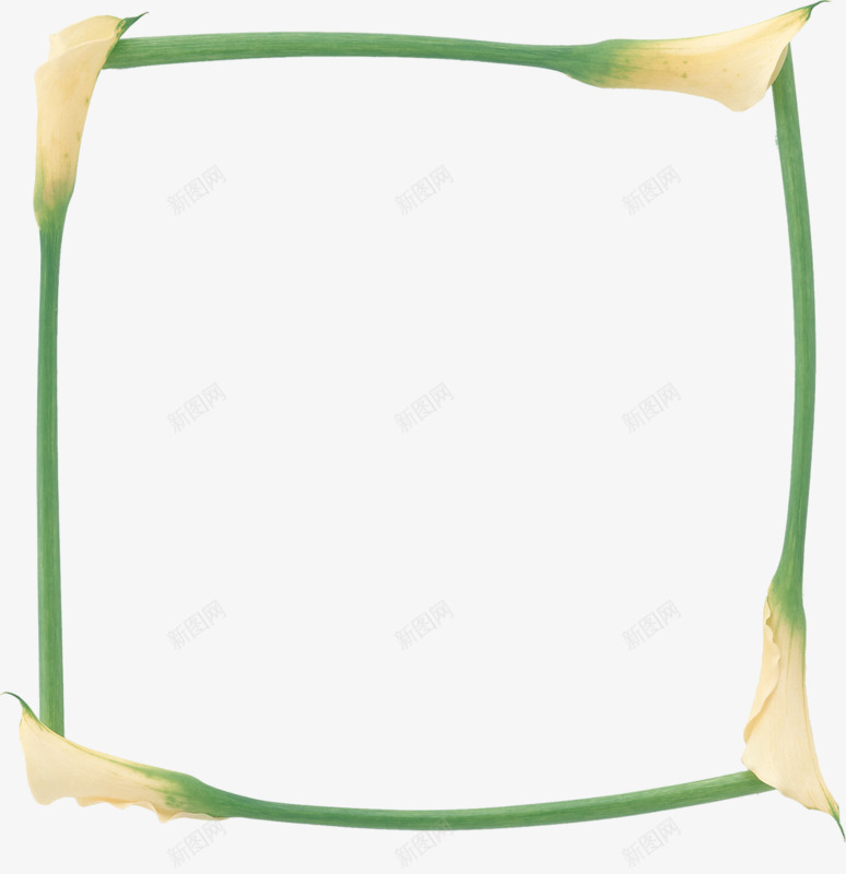 绿色植物装饰边框png免抠素材_新图网 https://ixintu.com 方形 素雅 装饰 边框