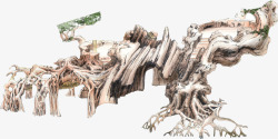 手绘公园树根根雕造型美景素材