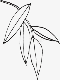 线描叶子素材