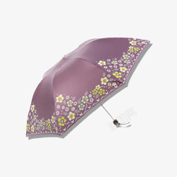 紫色太阳伞素材
