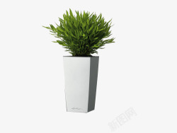白色花盆素材