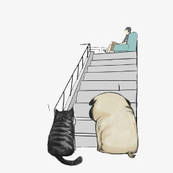 上楼楼梯狗狗和猫咪上楼高清图片
