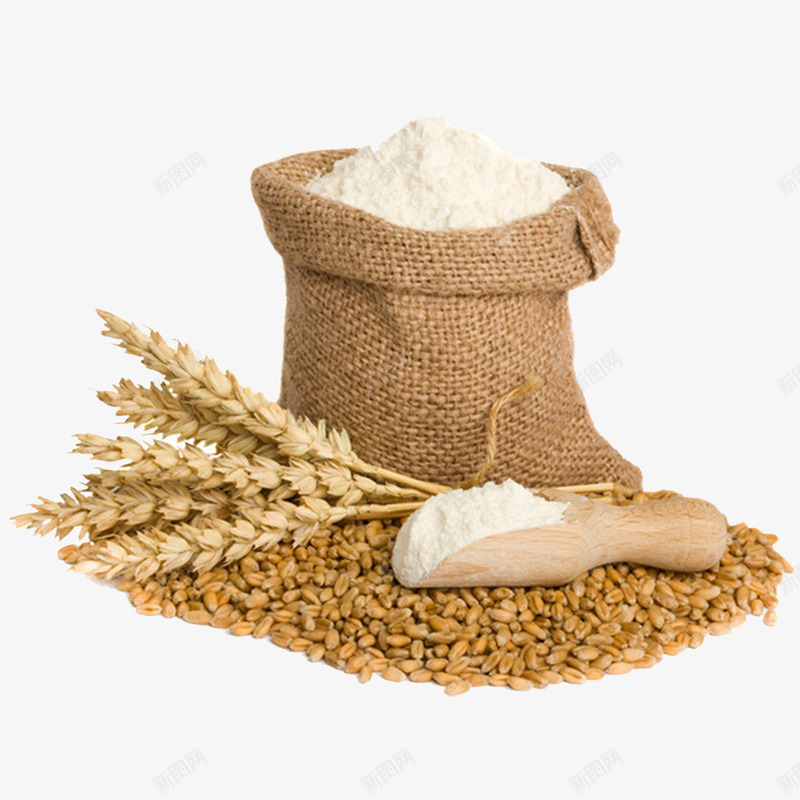 面粉和小麦png免抠素材_新图网 https://ixintu.com 产品实物 小麦 面粉